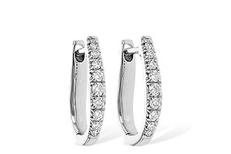 L217-75882: EARR .25 TW